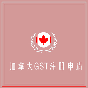 加拿大GST注册申报+定金100+海外VAT注册申报专家